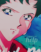 Filename=seiya-life-ava.png
Filesize=73KiB
Dimensions=200x250
Date added=Feb 13, 2019 seiya-life-ava.png