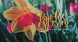 Filename=ostern.png
Filesize=493KiB
Dimensions=796x440
Date added=Apr 03, 2021 ostern.png