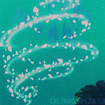 Filename=zoisite.gif
Filesize=659KiB
Dimensions=150x150
Date added=Nov 14, 2020 zoisite.gif