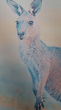 Filename=aiden5.png
Filesize=51KiB
Dimensions=125x225
Date added=Apr 29, 2021 aiden5.png