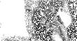 Filename=ellen1.gif
Filesize=364KiB
Dimensions=130x70
Date added=May 13, 2021 ellen1.gif