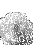 Filename=scene_flower.gif
Filesize=172KiB
Dimensions=150x150
Date added=Jun 19, 2021 scene_flower.gif