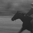 Filename=scene_riding2.gif
Filesize=478KiB
Dimensions=150x150
Date added=Mar 20, 2021 scene_riding2.gif
