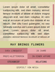 Filename=mayflower1.png
Filesize=69KiB
Dimensions=248x323
Date added=May 22, 2018 mayflower1.png